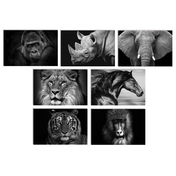 Better Office Products All Occasion Greeting Cards & Envs, 4inx6in Black & White Wild Animal Portraits, Blank Inside, 50PK 64640 - main